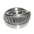 Taper Roller Bearings (31304)